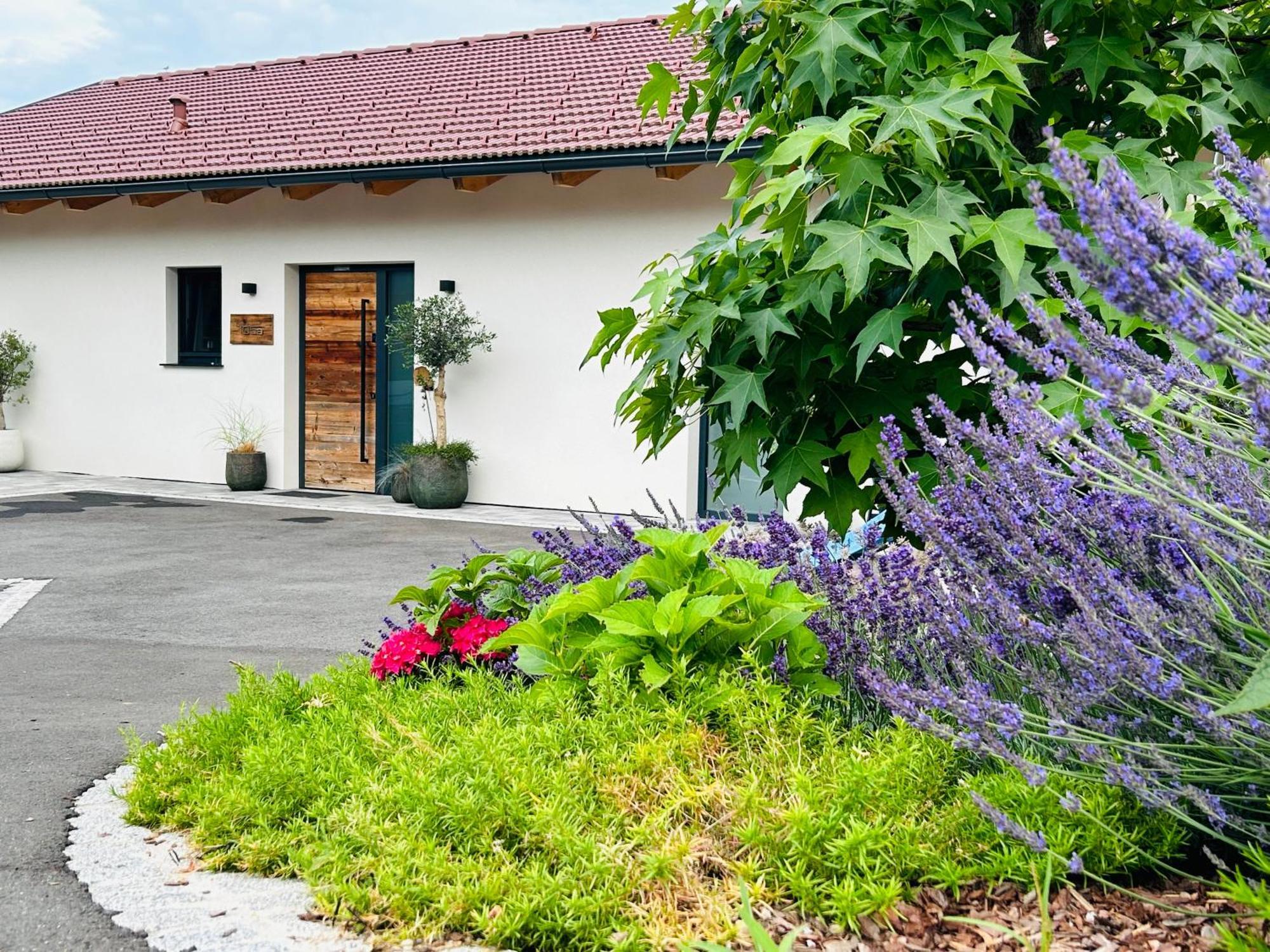 Traumhaus In Den Weinbergen - Max 8 Personen - Mit Self-check-in *